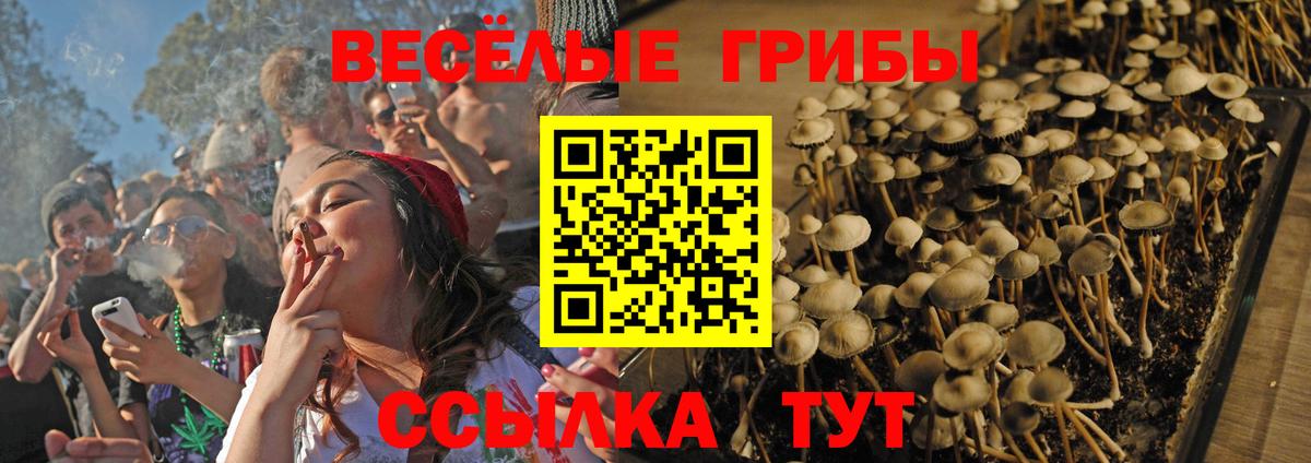 Галлюциногенные грибы Cubensis Нижний Новгород