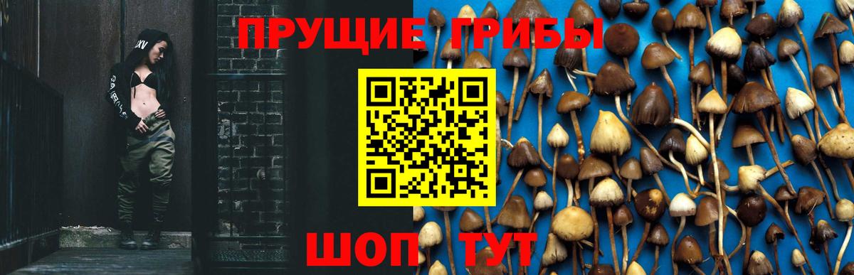 Галлюциногенные грибы прущие грибы  Галлюциногенные грибы GOLDEN TEACHER  Вход с VPN  Нижний Новгород 